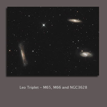 Leo Triplet M65 M66 NGC3628 shot with QHY8 ALCCD6c and 8" Newtonian