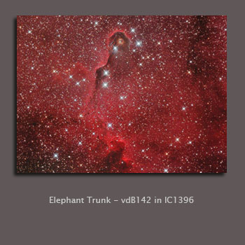 Elephant Trunk vdB142 IC1396 shot with QHY8 ALCCD6c and 8" Newtonian